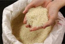 نماینده ساری: برنج ۹۰ هزار تومانی، ۳۵ هزار تومان خریداری شده است