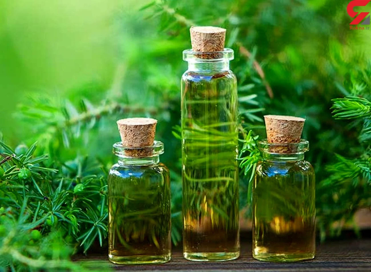 Properties of tea tree oil for eye circles