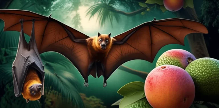خفاش میوه خوار | حیوانی میان پرنده و روباه (Fruit Bats)