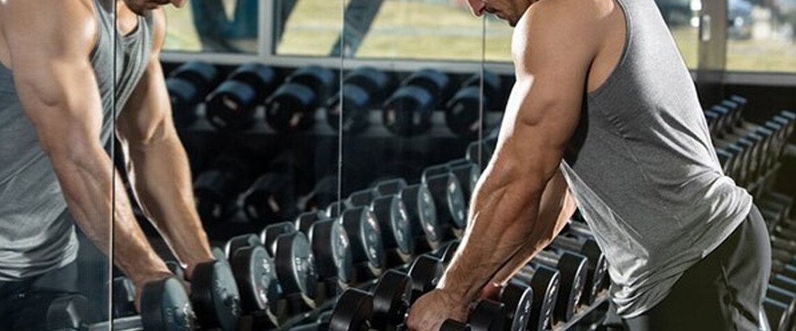 بررسی محبوب‌ترین پروتئین‌های گیاهی در بازار